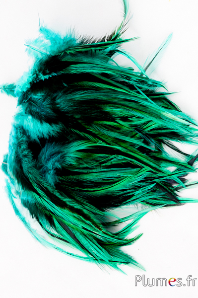 Coq flammé - 10-15 cm - jade